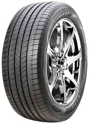 Scheda Variante Pneumatico &rsaquo; Marca: KinForest &rsaquo; Modello: KF717